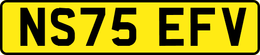 NS75EFV
