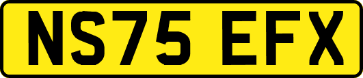 NS75EFX
