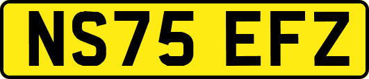 NS75EFZ