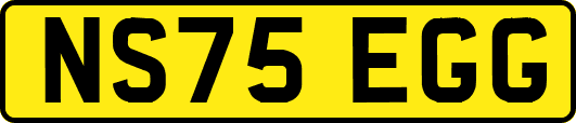 NS75EGG