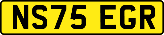 NS75EGR