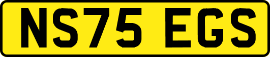 NS75EGS
