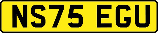 NS75EGU