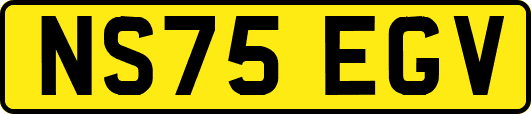 NS75EGV