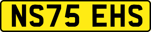 NS75EHS