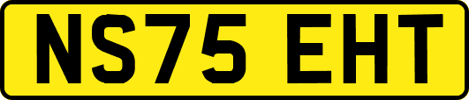 NS75EHT