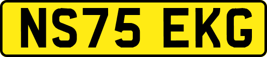 NS75EKG