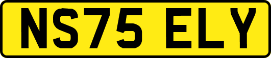 NS75ELY