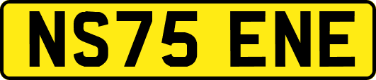 NS75ENE
