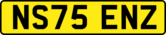 NS75ENZ