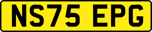 NS75EPG