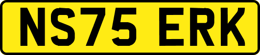 NS75ERK