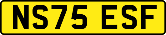 NS75ESF