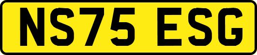 NS75ESG