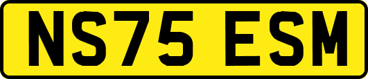 NS75ESM