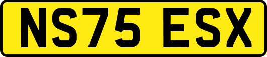 NS75ESX