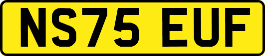 NS75EUF