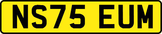 NS75EUM