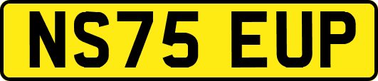 NS75EUP