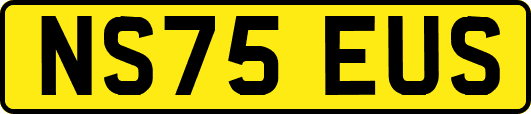 NS75EUS
