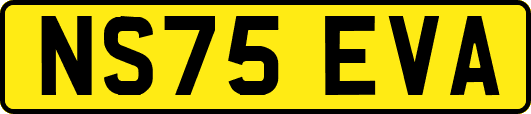 NS75EVA