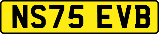 NS75EVB