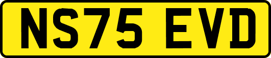 NS75EVD