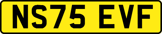 NS75EVF