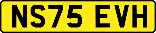 NS75EVH