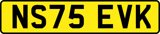 NS75EVK
