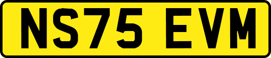 NS75EVM