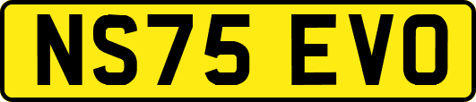 NS75EVO