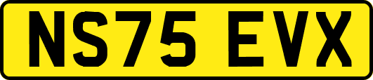 NS75EVX