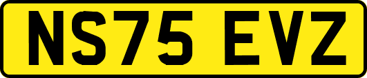 NS75EVZ