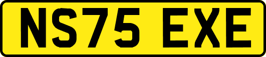 NS75EXE
