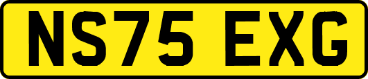 NS75EXG
