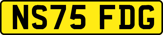 NS75FDG
