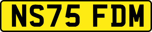 NS75FDM