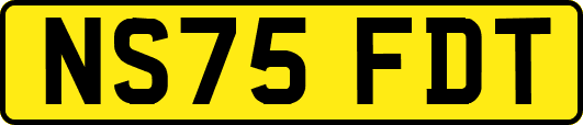 NS75FDT