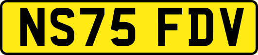 NS75FDV