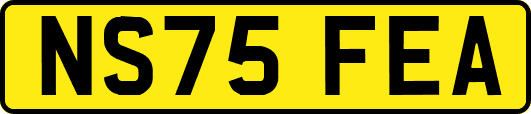 NS75FEA