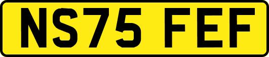 NS75FEF