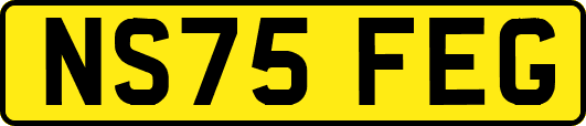 NS75FEG