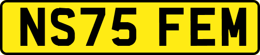 NS75FEM