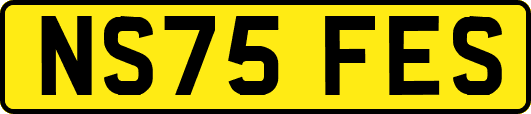 NS75FES