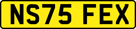 NS75FEX