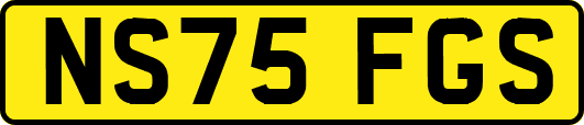 NS75FGS