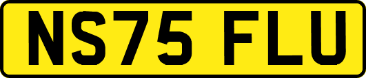 NS75FLU