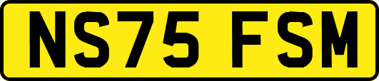NS75FSM