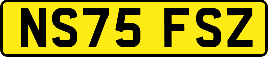NS75FSZ